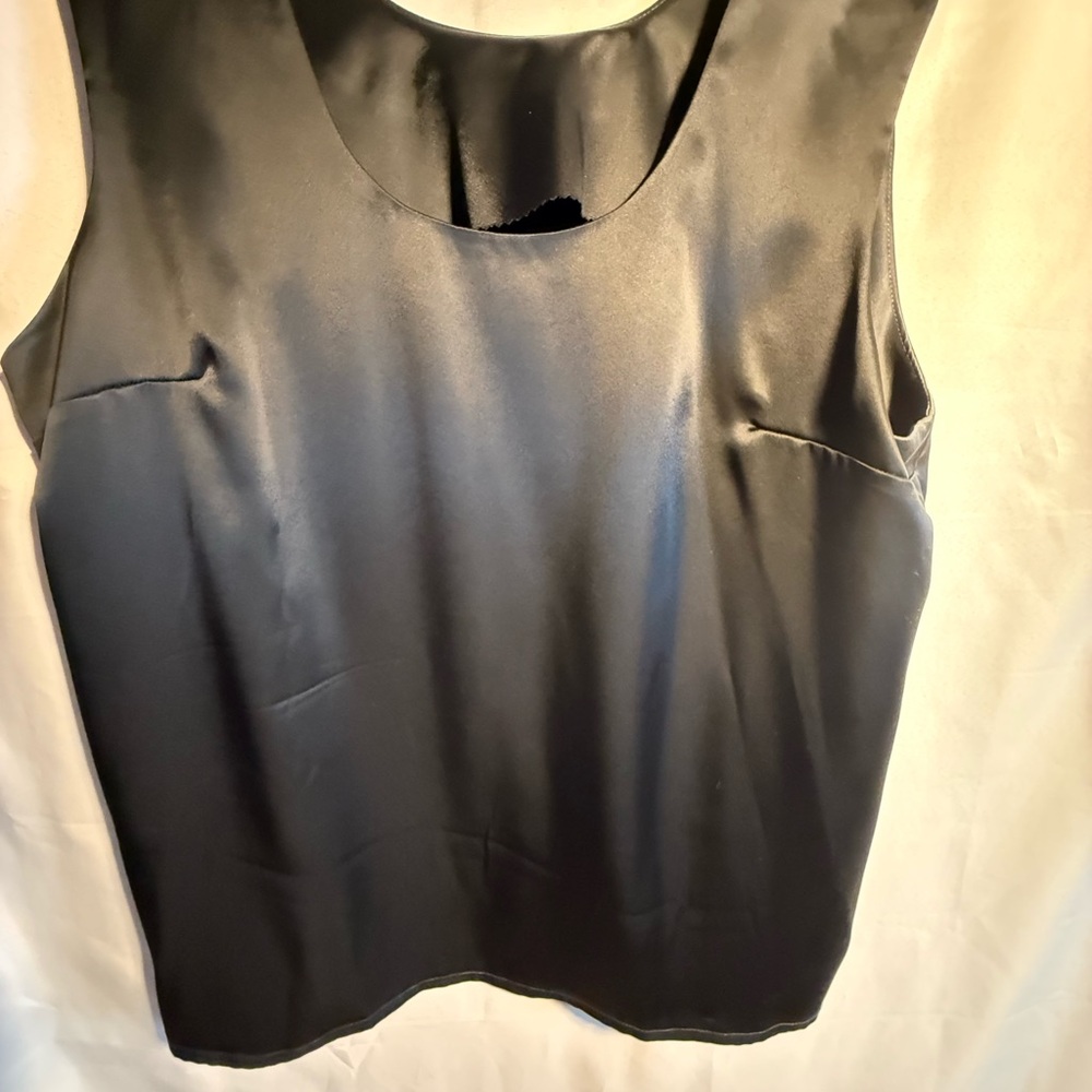 Elegant Black Satin Sleeveless Top 3X